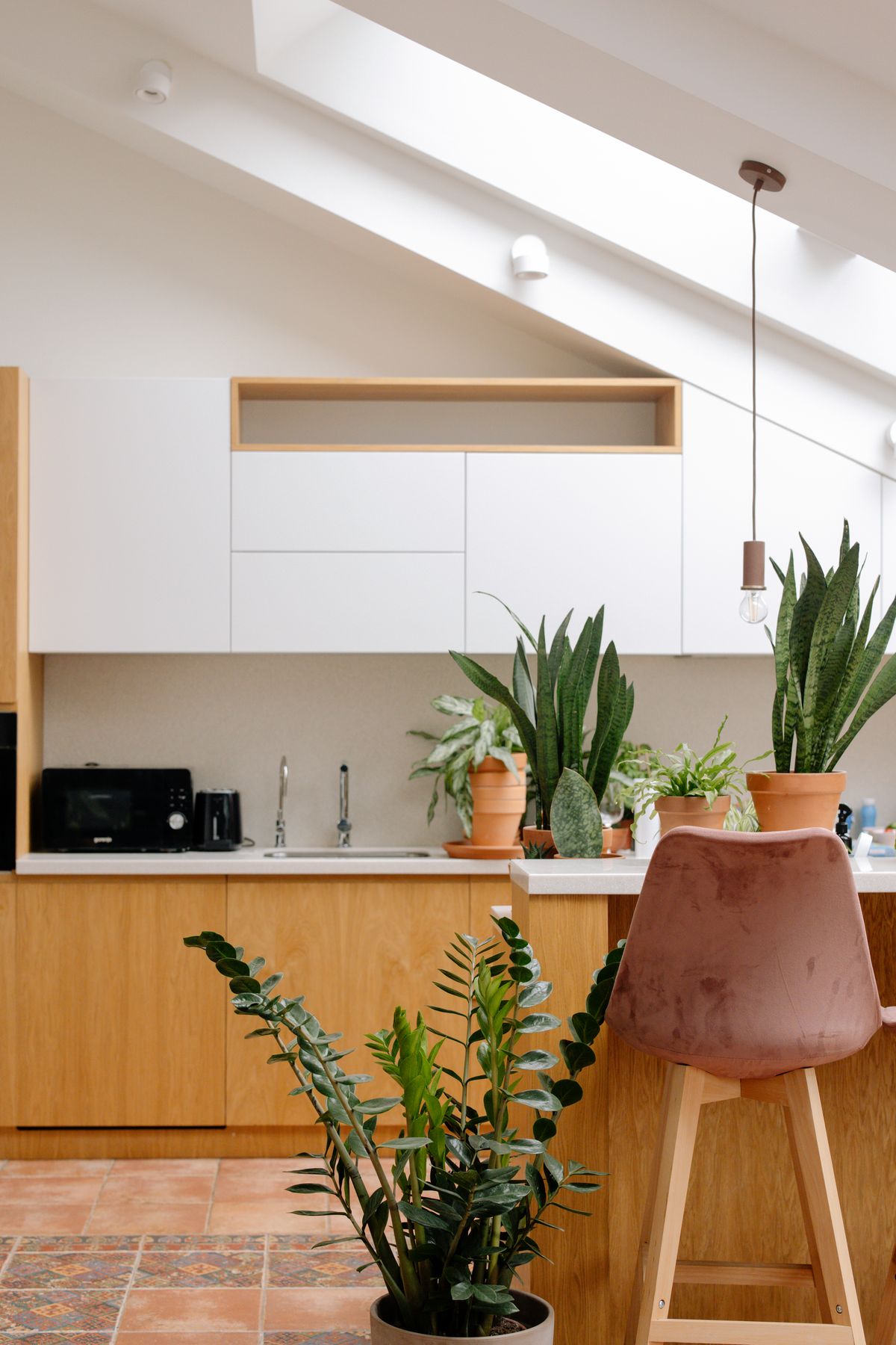A bright modern kitchen with wooden units and potted plants.